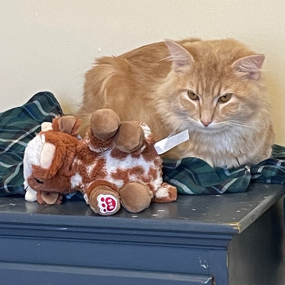 Meet your Posher, Heather